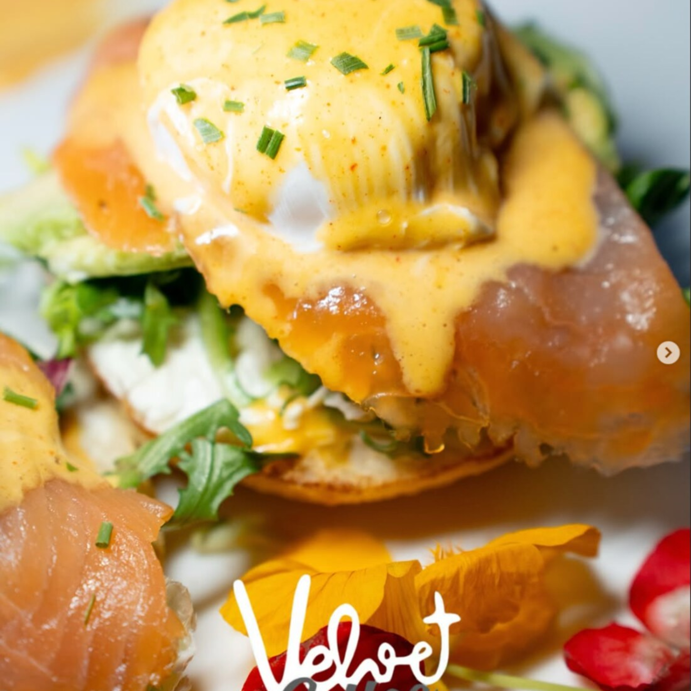 Œufs bénédicte, saumon fumé et sauce hollandaise